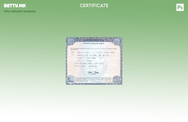 модерен стил шаблон за извод од матична книга на родените во државата Њујорк во 